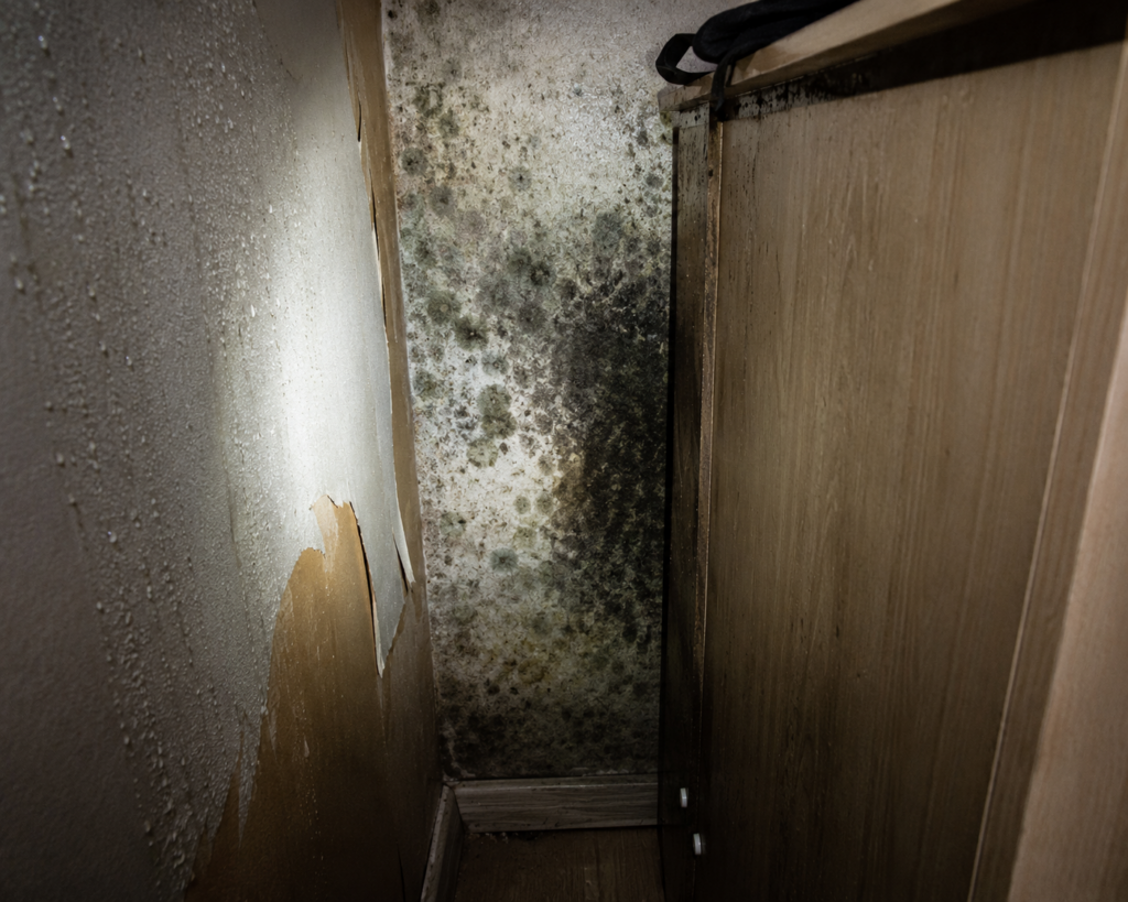 Mold colony hidden behind furniture on an exterior wall contributing to poor air quality at home and mold exposure symptoms
